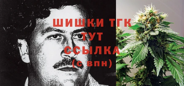 прущие грибы Алексин