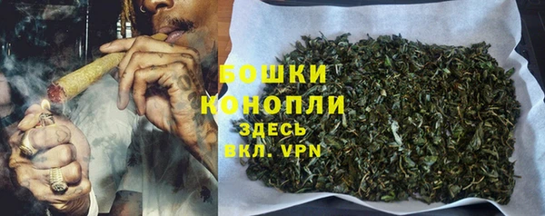apvp Богданович