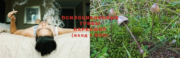 соль ск Богородск