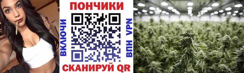 Конопля ГИДРОПОН Данков