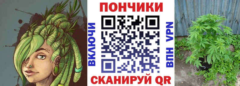 Бошки марихуана OG Kush продажа наркотиков Данков